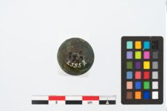 Foto von Bronzekugelkopfnadel (NHMW-PRAE-025557)